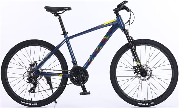 Xe đạp địa hình thể thao California 500CC 2025